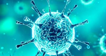 Maranhão já tem 31 casos de COVID-19 net-coronavirus