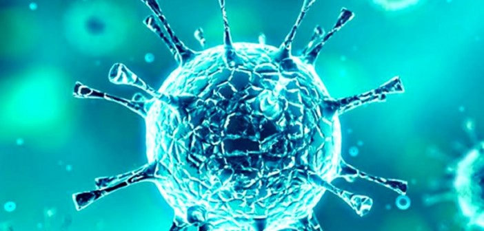 net-coronavirus