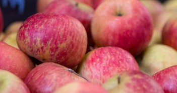 Março Verde: mês chama atenção para a neuromielite óptica | Dica Saudável: maçã maca-fuji-organica-saudavel-bio-mercado-hortifruti-organico-feira-organic-1000x1000-1-1000x600