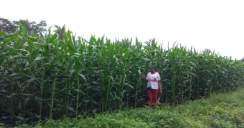 “A FORÇA QUE VEM DA ZONA RURAL DE CAXIAS NO MARANHÃO. COM APOIO DO BNB EMPREENDEDORA ALAVANCA NEGÓCIOS SUSTENTÁVEIS E CONTRIBUI PARA A RODA DA ECONOMIA GIRAR. “ WhatsApp Image 2024-06-28 at 22.10.45