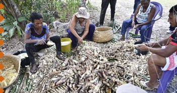 SEMINÁRIO ‘TURISMO DE BASE COMUNITÁRIA, VIVÊNCIAS DO SABER’ COMEÇA NESTA QUARTA Imagem do WhatsApp de 2025-01-21 à(s) 08.25.38_870c6a8b