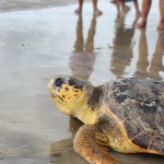 IMG-20250404-WA0039